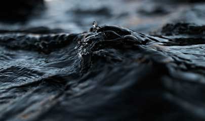 Bonny Light Crude